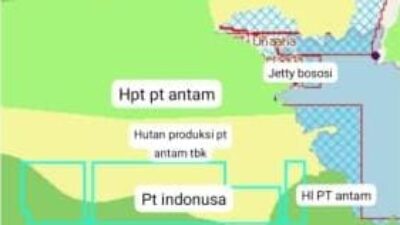 P3D Konut Beberkan Dugaan Pelanggaran PT Indonusa