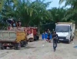 AMPLK Sultra Minta APH Tindaki Dugaan PT JMP Nambang Pasir Tanpa Kantongi RKAB