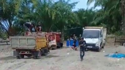 AMPLK Sultra Minta APH Tindaki Dugaan PT JMP Nambang Pasir Tanpa Kantongi RKAB