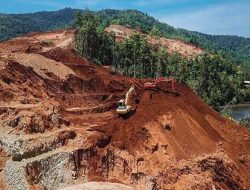 PT PIP Diminta Perlihatkan RKAB, Pembayaran Denda Administratif PNBP PPKH dan PPKH ke Publik