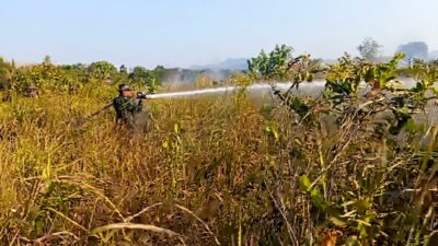 Kebakaran Lahan di Baruga Kendari Berhasil Dipadamkan, Petugas Tetap Siaga